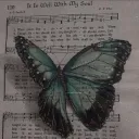 MusicIsLifeLove