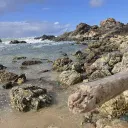 RagingWater