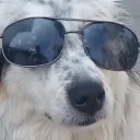 unkn0wn