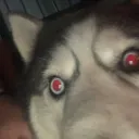 Danny_Boi67