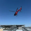 atrexler