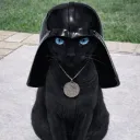 paganjustin0