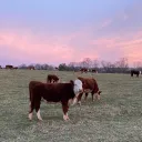 arcane_country
