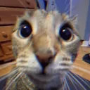 EchoQuill