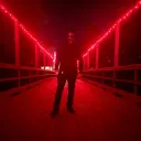 zed