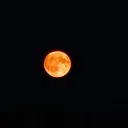 MoonFall