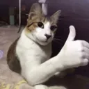 AyoItsYoBoyGav