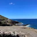 All_Gravvy25