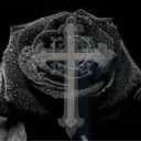 UnusuaIRose