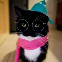 ZadieFox
