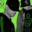 TURTLEFELONSINC