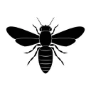 Honey_Bee