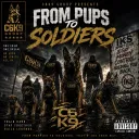 C6K9_Group