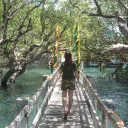 Arvie