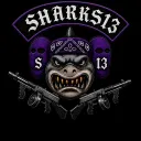 SHARKS13