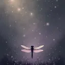Nymera