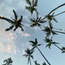 NorthSky