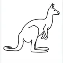 happy_kangaroo176