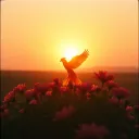 Here’s To The Girls And Women, You’re Finally Free.