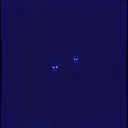 Creatures of the Night