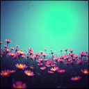 Loop://Reborn