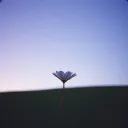 Tu me manques tellement