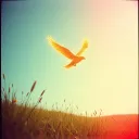 Love’s Quiet Hope