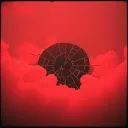 Fractured Sanity