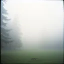 Breath of Stillness