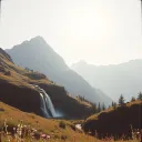 Parks and Promises: Chasing Love in the Wild