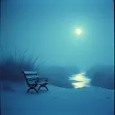 Moonlit Memories