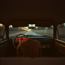 Rearview Echo