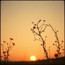 L'ULTIMA ORA DI SOLE