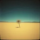 Lost