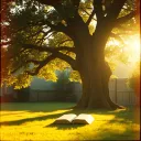 Family Tree