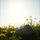 He is risen