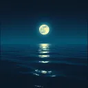 Midnight Echo