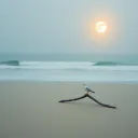 The Whale  in the Sand