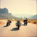 Moto pups