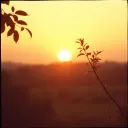 THE MORNING