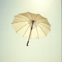 **《阳光下的你》