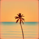 SUNRISE GROOVE [FUSION]