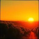 Unsere beste Zeit ist jetzt (Freunde‐Lied)