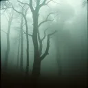 The Fall( of Man )
