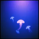 Drowning in the Light