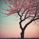  消えゆく君の影 (Kieyuku Kimi no Kage)