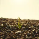 Like a mustard seed
