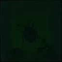Parasite (Grunge)