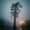 Lost in the Haze