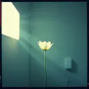STILL GROWING (PMB Shadow Mix)